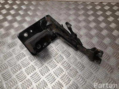 Renault 745961469R MASTER III Kasten (FV) 2019 Türscharnier hinten rechts - Bild 1