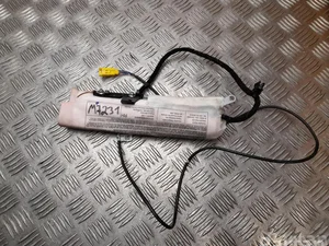 Volkswagen 5N0880242A TIGUAN (5N_) 2009 Airbag lateral