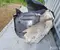 Opel 9835149280 Mokka II e 2022 Guardabarros interior Left Front - Imagen 3