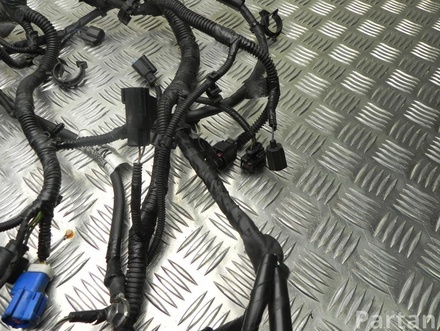 FORD AV6T-14A280, BV6T-12A690 / AV6T14A280, BV6T12A690 FOCUS III 2014 Engine harness