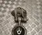 Gebrauchtes Original Nissan X-TRAIL (T32_) 2017 Motorlagerung - Bild 1
