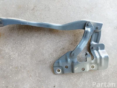 Hyundai 66910-GI000 / 66910GI000 Ioniq 5 NE 2021 Lankstas, gaubtas - Paveiksliukas 1