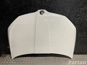 Škoda FABIA III (NJ3) 2016 Motorhaube