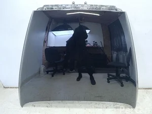 Bentley CONTINENTAL FLYING SPUR (3W_) 2012 Gaubtas