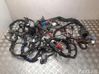 Tesla P2489058-01-B, 2489050-04-C / P248905801B, 248905004C Model Y 2022 Жгут проводов для салона - Изображение 1