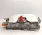 Ford USA HU5A14B218-AB, NL38-14G649-AD / HU5A14B218AB, NL3814G649AD F-150 LIGHTNING Crew Cab Pickup 2025 Onduleur avec convertisseur - Image 1