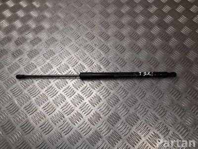 Fiat 00522055060 600e / 600 (365_, 364_) 2025 Sprężyna gazowa - Zdjęcie 1