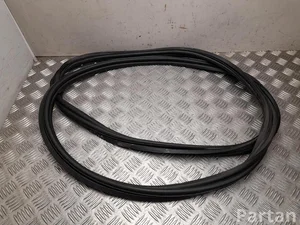 Polestar 4 2025 Joint