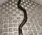 Gebrauchtes Original Mercedes-Benz A4475018500 EQV (W447) 2020 Kühlmittelleitung - Bild 3