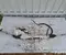 Opel 9834211180 Mokka II e 2022 Lenkgetriebe - Bild 1