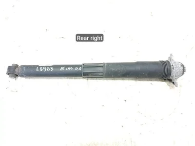 Volkswagen 3QF512011AB, 3QF513425 ATLAS (CA1, CA2, CA3) 2018 Amortyzator z tyłu po prawej - Zdjęcie 1