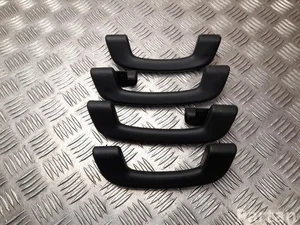 BMW 5922518B, 6533218 X5 (G05) 2018 Mango del techo conjunto