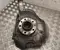 Alfa Romeo 00505397380 GIULIA (952_) 2019 Radlagergehäuse vorne rechts - Bild 1