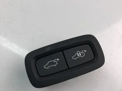 Volvo 31674801 XC60 II (246) 2020 Mygtukas, bagažinės dangčio - Nuotrauka 1