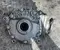 Mercedes-Benz A2053303707, 2.47 / A2053303707, 247 E-CLASS T-Model (S213) 2017 Передняя главная передача - Изображение 1