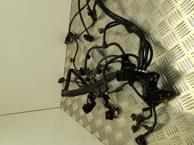 BMW 8672143 X3 (F97) 2019 Harnais - Image 1