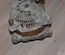 PEUGEOT 9654752880 407 (6D_) 2006 Alternator