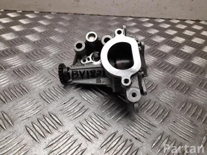 Nissan 150100347R, 150 159 239R / 150100347R, 150159239R Qashqai III (J12) 2022 Alyvos siurblys