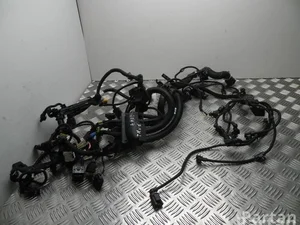 BMW 8672131 2 Gran Tourer (F46) 2018 Fils du compartiment moteur