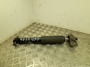 Ford F1GC18080AFA S-MAX 2016 Amortisseur Left Rear