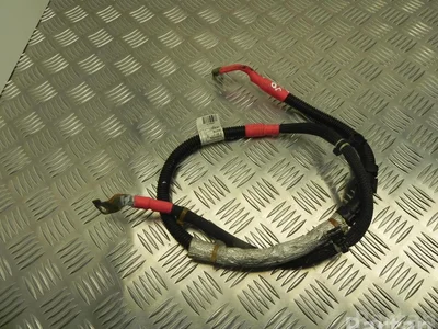 BMW 8483811 X3 (G01) 2022 Câbles de batterie - Image 1