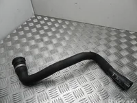 Ford 8V61 8260 CD / 8V618260CD FOCUS III Saloon 2013 Tuyau de radiateur