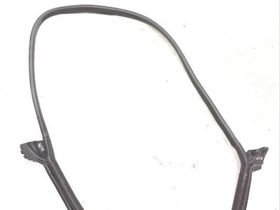 Aston Martin MY8325316 DBX 2021 Door Seal Right Rear - Image 1