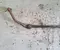 BMW 5 Touring (F11) 2012 Stabilisateur - Image 2