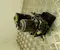 Toyota 44510-47050 / 4451047050 PRIUS Liftback (_W2_) 2008 ABS-Steuergerät Hydraulikblock - Bild 1