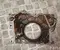 Maserati 327664 LEVANTE 2024 Timing Belt Cover - Image 2