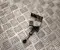 Kia 55830SZ000 EV4 (CT) 2026 Sensor, Luftfederungsniveau - Bild 1
