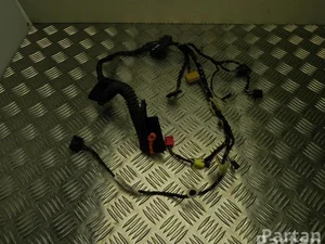 Škoda 4L0 971 841 / 4L0971841 FABIA III (NJ3) 2016 Cables de salón