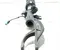 BMW 6896440, 6896440-01, 6866803, 6866803-01, 37.106896440, 6893857 / 6896440, 689644001, 6866803, 686680301, 37106896440, 6893857 X5 (G05) 2020 Stoßdämpfer vorne rechts - Bild 3