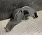 Lexus 65638-52060 / 6563852060 LBX 2025 Radhausschale hinten links - Bild 1
