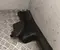 BYD EKEA5402530 SEAL 2026 Door Sill Trim - Image 2