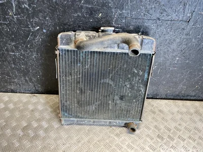 Mercedes-Benz 1105001603 W110 200D 1965 Radiateur - Image 1
