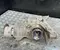 Audi 0B0500043G A5 Sportback (F5A) 2021 Hinterachsgetriebe - Bild 3
