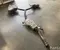 Audi 8W9253612, 8W9253611, 8W0253411A A5 Sportback (F5A) 2021 Silencieux - Image 1