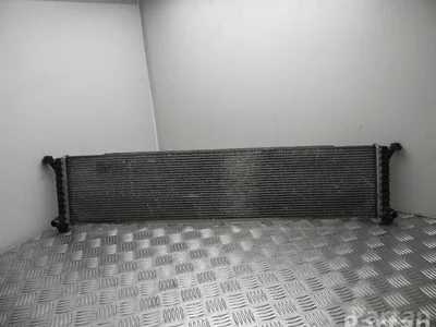 Tesla 6007372-00-A / 600737200A MODEL S 2015 Radiateur - Image 1