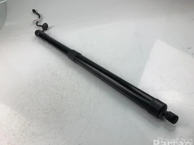 Volvo 31690929 XC60 II (246) 2019 Amortisseur - Image 1