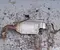 Citroën 9834052580 C3 III (SX) 2019 Soot/Particulate Filter, exhaust system - Image 2