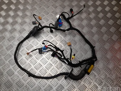 Škoda 5E4971120CH Octavia Mk4 2021 Harnais pour intérieur Porte - Image 1