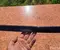 Mercedes-Benz A2056900282 C-CLASS (W205) 2016 Other trim detail - Image 3