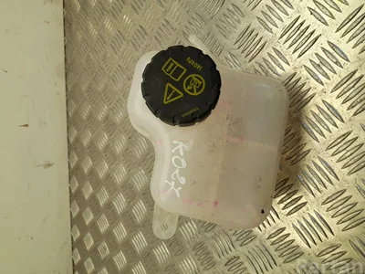 MG 654565761 ZS EV 2022 Aušinimo skysčio išsiplėtimo bakelis - Nuotrauka 1