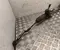 Nissan SN18BC0066 X-TRAIL (T32_) 2017 Steering rack - Image 2