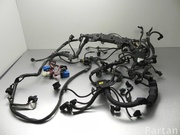 BMW 7614896, 7606513 7 (F01, F02, F03, F04) 2011 Engine harness
