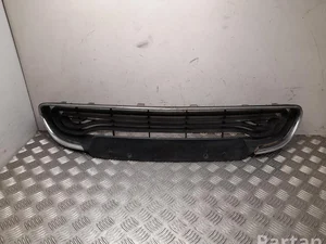 Renault 1119778X, 1154306X ZOE (BFM_) 2016 Grillades