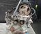 Ford T3JB B-MAX (JK) 2013 Moteur complet - Image 1