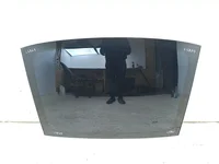 Tesla MODEL 3 2018 Schiebedach