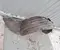 Mazda CX-3 (DK) 2016 Wing liner Left Front - Image 2